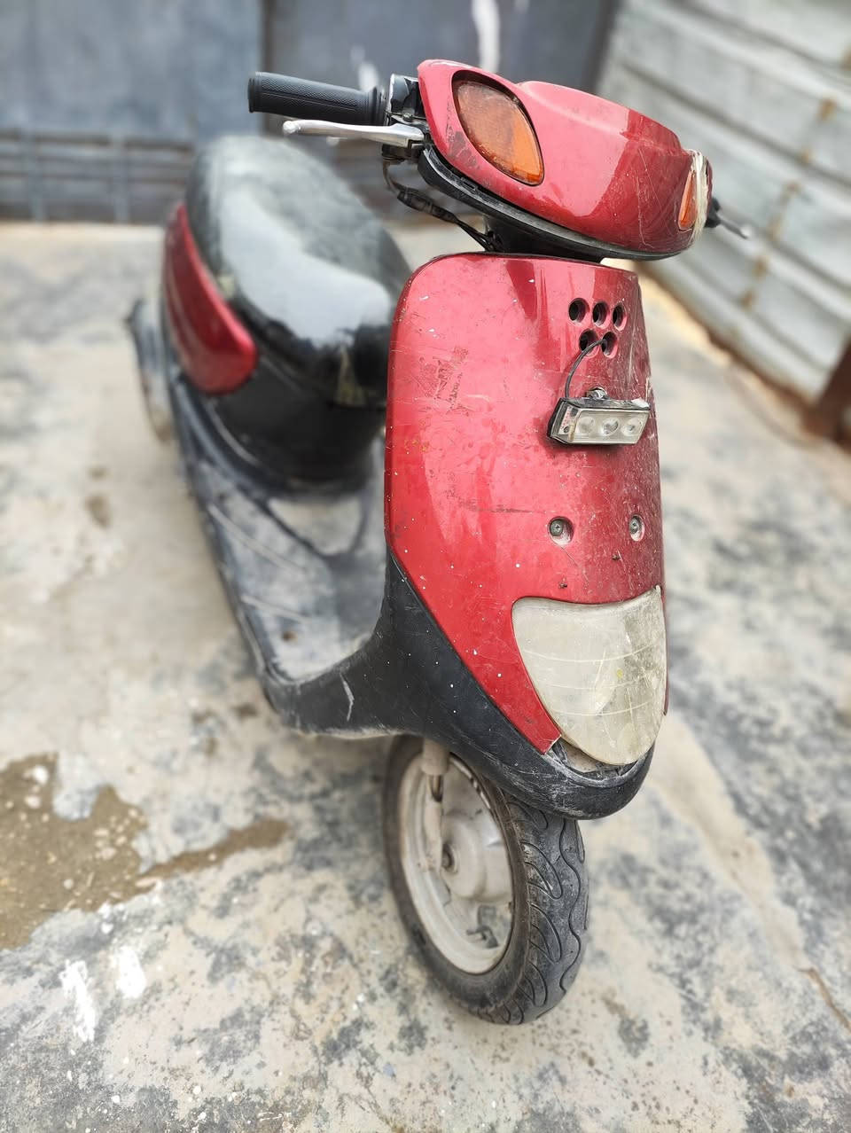 دراجة منغولي فحل للبيع   السعر 350 الف دينار  // *********** واتساب
