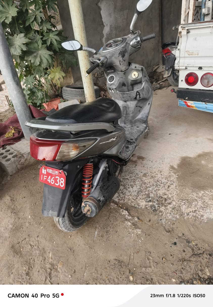 السلام عليكم سكنس فحل كابريته للبيع كفالة ختم واحد☝كهرباءيات كله شغاله للاستفسار *********** مكان بابل مركز  👍
