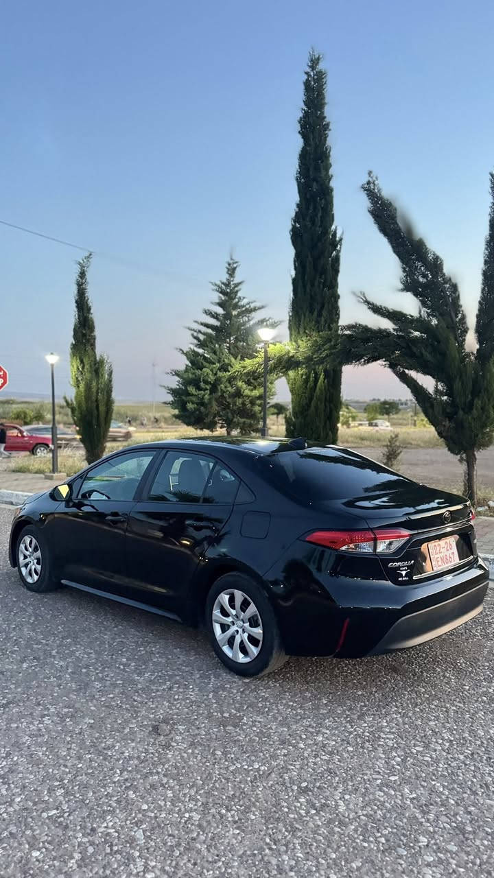 السلام عليكم
‏2024 Toyota Corolla 
تويوتا كرولا 2024 

بدوون سبخ 
بدون دواخل و بدون ايرباگ 
(السيارة بحالة ممتازة )  
مواصفات 
بريك بصمه 
شاشة ايباد  
كاميرا  
رادارامامي 
تحكمات ستيرن ➕ تحديد سرعه 
مانع انزلاق 
لايت زينون عالي و ناصي بلاد 
نظام auto hold 
نظام Assistive talk back 
السياره بدون رقم تترقم شمالي فقط 
السعر  135$قفل

العنوان :عقره


**إذا كنت صاحب هذا الإعلان وتريد حذفه لأي سبب، رجاءا أرسل رسالة إلى الدعم الفني**