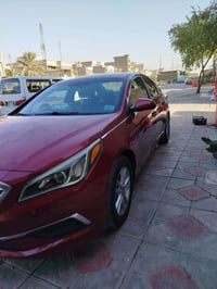 سوناتا • ٢٠١٦ • قطعتين صبغ