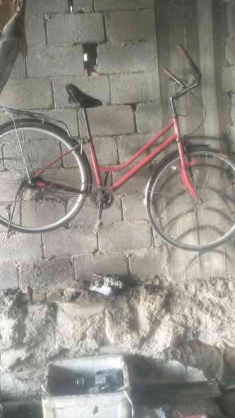 باسكل للبيع سعر 30 مكاني كربلة كنطرت سلام تصل وتدلل***********
***********
