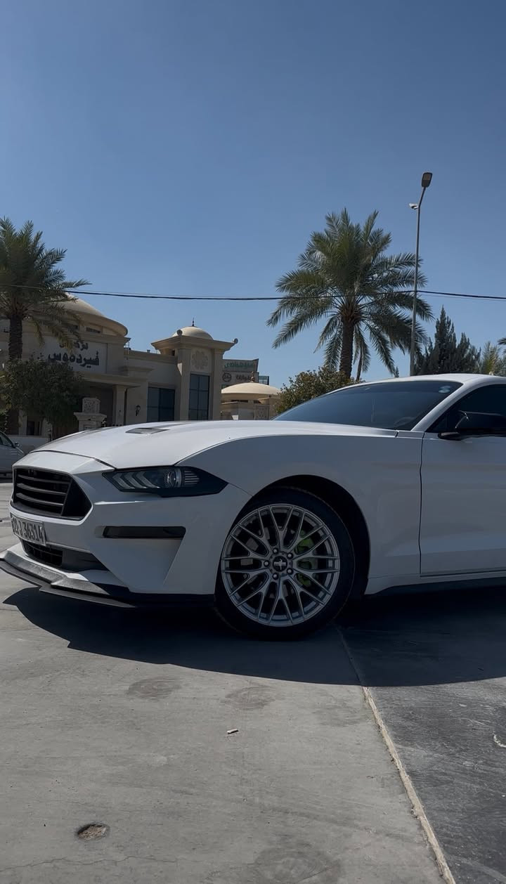 اللهم صل ع محمد وال محمد
النوع: Ford Mustang 🐎🚗 بريميوم يعني فول فول موصفات 
ملاحضه السياره (ايكو بوست) محرك 2.3 توربو ✈️ 
الموديل:2020
عداد المسافات: 76mi 
الموصفات 
1-كشنات جلد 
تدفئه كشنات +تبريد 
2-كشنات كهرباء
3-بصمه-تشغيل عن بعد
4-شاشه كبيره
5-Car Play
6-شفتات ستيرن
7-نضام sport 
8-ويل رياضي حجم 19
9-اشاير بلمري هيتر 
10-ترحيب ابواب 

الضرر بنيد وجاملغ ايسر
وجاملغ ثاني الايمن كلير بسيط 
رقم سليمانيه الجديد 
 مكان السياره الحله مركز مدينه 
*********** للاستفسار 
السعر 150 وبيه مجال 

Type: Ford Mustang 🐎🚗
Trim: Premium (Full Options)

Note: The car is EcoBoost with a 2.3L Turbo engine ✈️

Model: 2020
Mileage: 76,000 miles

Features:
 1. Leather seats
 2. Heated & cooled seats
 3. Power seats
 4. Push start + remote start
 5. Large display screen
 6. Apple CarPlay
 7. Steering wheel paddle shifters
 8. Sport mode system
 9. 19-inch sport wheels
 10. Side mirrors with turn signals + heater
 11. Door welcome lights

Damage:
 • Left fender and left front door
 • Minor clear damage on the right fender

Plate: New Sulaymaniyah registration

Location: Hillah city center – Al Hillah
