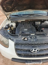 سنتافي • ٨ خليجي • ٧ راكب