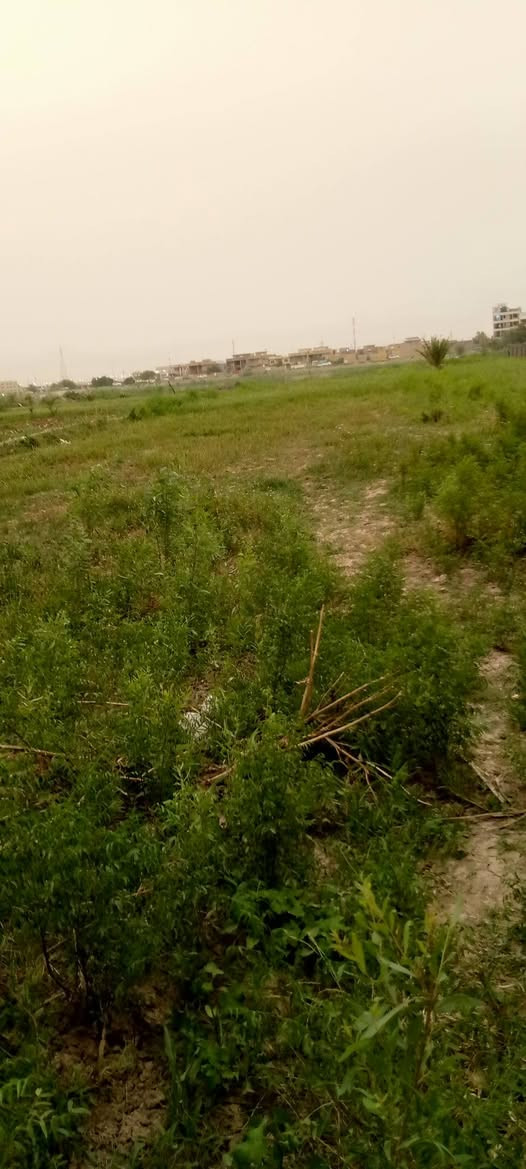 سـلام عليـكـم 
دونـم للبيـع على الشـط 
واسط منطقـه ليوسفيـه الستفسـار علـى هاذا رقـم 📞📲
***********📞

