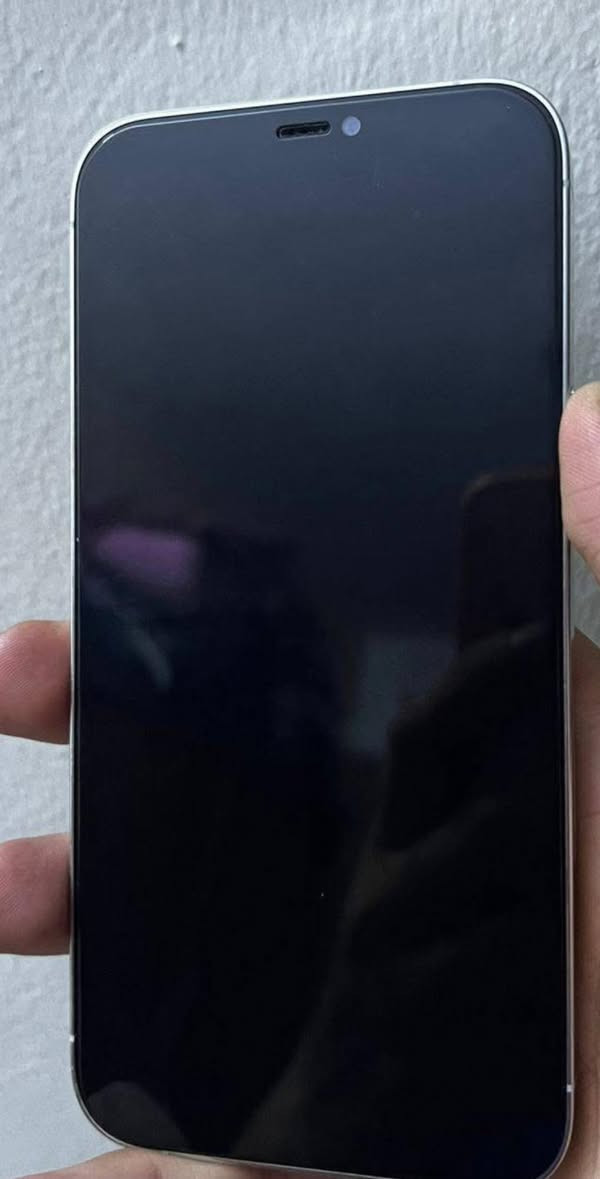 ايفون 12 برو ماكس للبيع مبدل بطاريه 97


**إذا كنت صاحب هذا الإعلان وتريد حذفه لأي سبب، رجاءا أرسل رسالة إلى الدعم الفني**