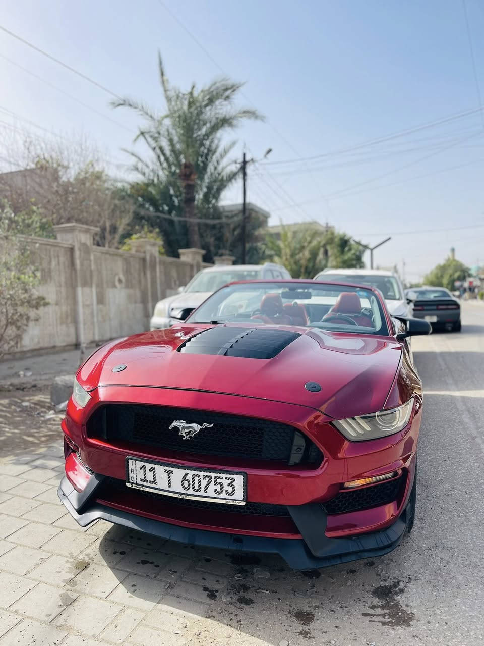 سلام عليكم من رخصه الادمن للمراوس ب F10
موستنك ايكو بوست بريميوم فول مواصفات اعلى شي بالموستنك 

موديل 2016 

رادار امامي وخلفي وجانبي 
كامره خلفيه 
كشنات كهرباء و تدفئه تبريد كشنات 
داخل احمر 
مكينه اربعه سلندر تيربو 

صيانه كلها اصلي بلكات دهن تبريد مكينه كير كله بحاله الوكاله 
ماشيه 84 الف ميل 
السياره جاهزه من كل النواحي 

حادثها جاملغ امامي فقط و مال تحديث كت انصبغ بيها 4 قطع 

سعر السياره 130 

*********** 
واتساب فقط
