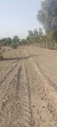 حله بابل • ٣ دونم • طابو زراعي سند ٢٥