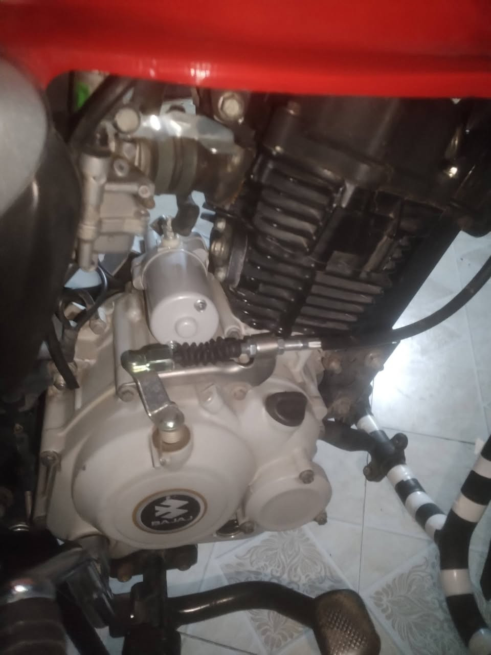 بوكسر 21 داخل المكينة كله جديد مال شركة الله شاهد و شغلها يم دكان سليم
1_ كلج داخلي جديد شركة
2_ كير جديد شركة
3_ جواكيج جديد شركة
4_ بوشة بستم جديد شركة
5 _ قايش حار بارد جديد شركة
6_ زنجيل جديد
7 _ واير كلج جديد
8_ بريك خلفي جديد
9_ طلقة مال كلج جديد شركة
10_ الحديدة ل بيها سبرنك ل ينشد بيها واير كلج جديد شركة
11_ سلف جديد شركة
12_ كابريتة كاملة جديدة شركة

مختصر كلام كلشي جديد بيها ماعده الكشر الخارجي فقط ما مبدل دراجة نعمه و خير من الله الكريم

1,800 و بيها مجال و اخذك يم دكان سليم فقط يفحصون و اي خلل او اي شي تعبان تشوف شكد سعره و تنزل من فلوسها

مكاني بكرية الغزالية *********** موجود واتس 
بوكسر 21 داخل المكينة كله جديد مال شركة الله شاهد و شغلها يم دكان سليم
