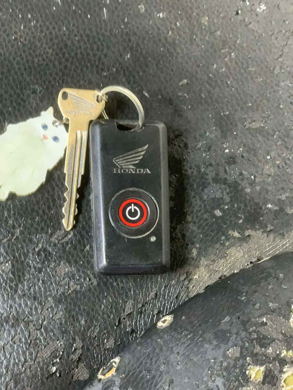 سلام عليكم دراجه فورزا 08
دراجه شغاله رون ١ونص ابيع هل موجود شرط تجي شغلها نكره جي بي اس بيها APSشغال دراجه بيع أو مراوس 
العنوان الشعلة
الرقم***********
وتساب*********** بغداد, العراق
