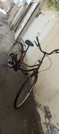 بايسكل • مكفول • جفل بابل