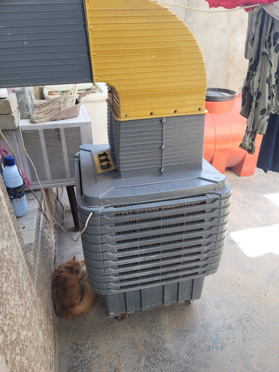 مبرده نظيفه 150 الف


**إذا كنت صاحب هذا الإعلان وتريد حذفه لأي سبب، رجاءا أرسل رسالة إلى الدعم الفني**