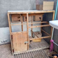 قفص • رائدة 35 • القائم