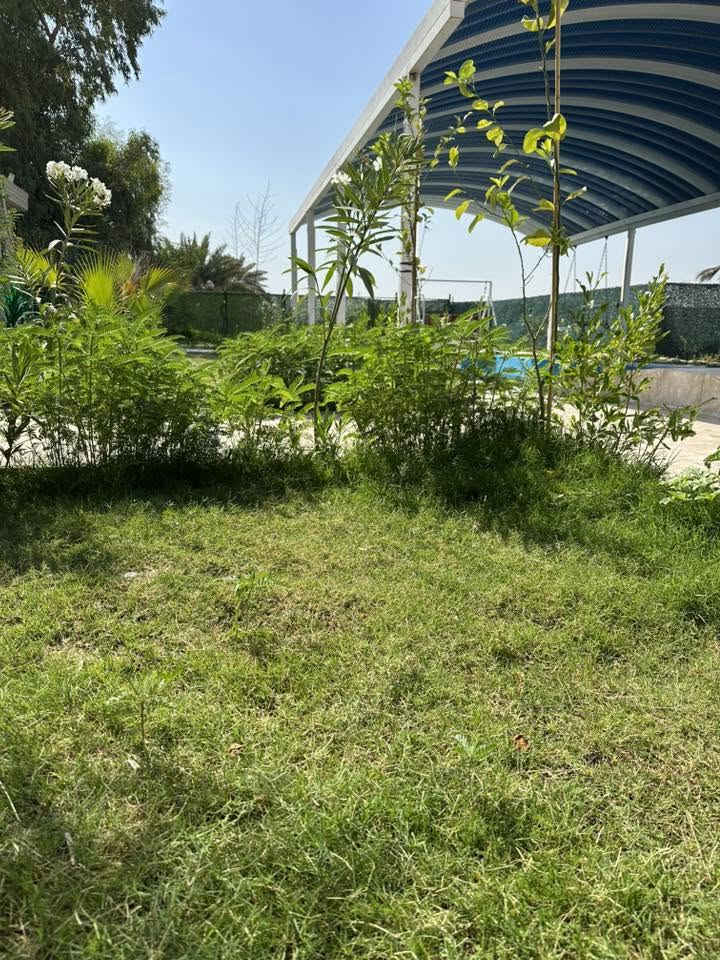 مزرعة زهور بغداد للايجار اليومي
بغداد حي الجهاد المكاسب
متوفر حجوزات
الاربعاء صباحي ونسائي6/17
الخميس صباحي 6/18
الجمعة مسائي 6/19
السبت صباحي ومسائي 6/20
موثقة ب اجرلي المزرعة
***********
