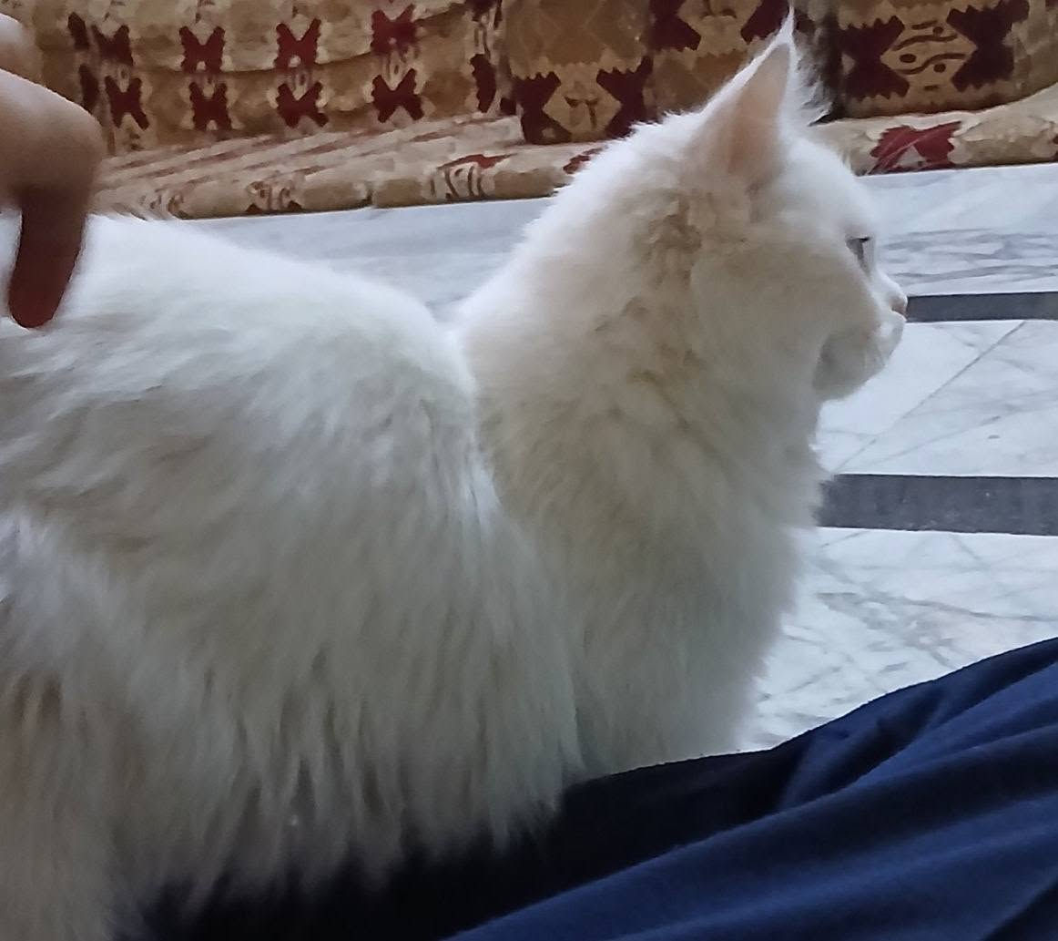 بزونه بيت مال زينه للبيع رقم *********** شراي يراسني خاص
