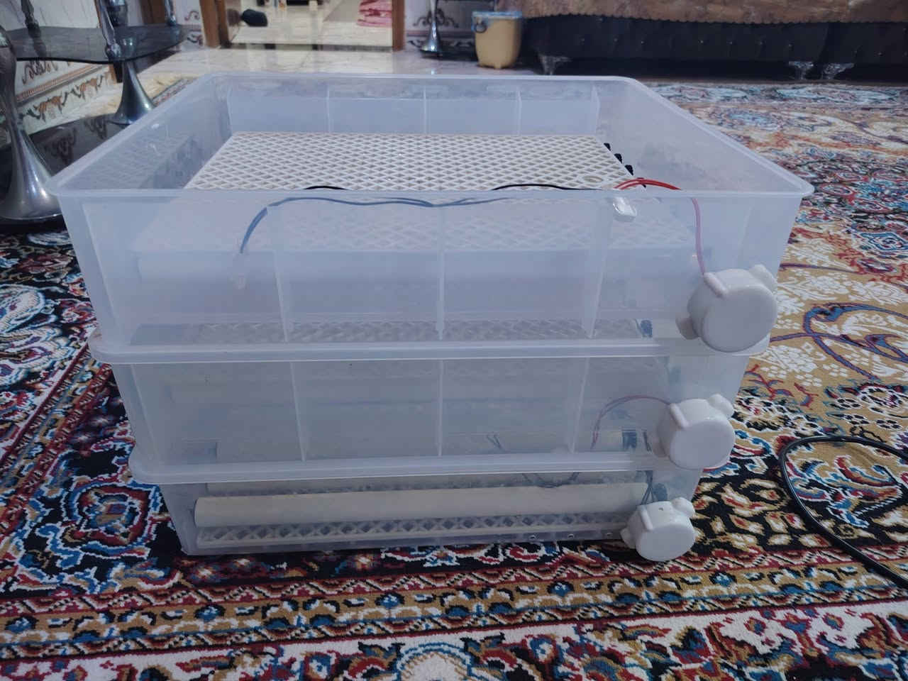 على بركة الله متاح فقاسة اصليه تسع 200 بيضه السعر 225 ألف وبيه مجال
شرط الفحص والشغل رقم *********** 
مكاني بني منصور اكو توصيل
