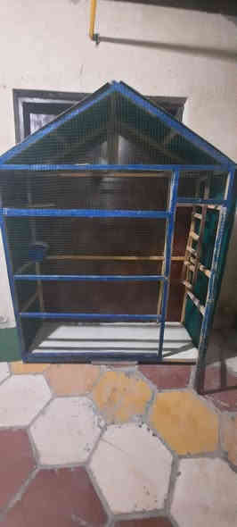 قفص للبيع
موقع حي العسكري قرب دوانيه اعباده

السعر 125 بي مجال

*********** رقم
