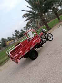 ستوتة صقر • موديل 16 • بابل الحمزه الغربي