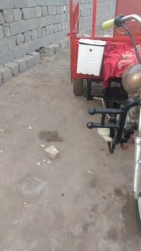 ستوته • ٢٠٠٨ • أوراق