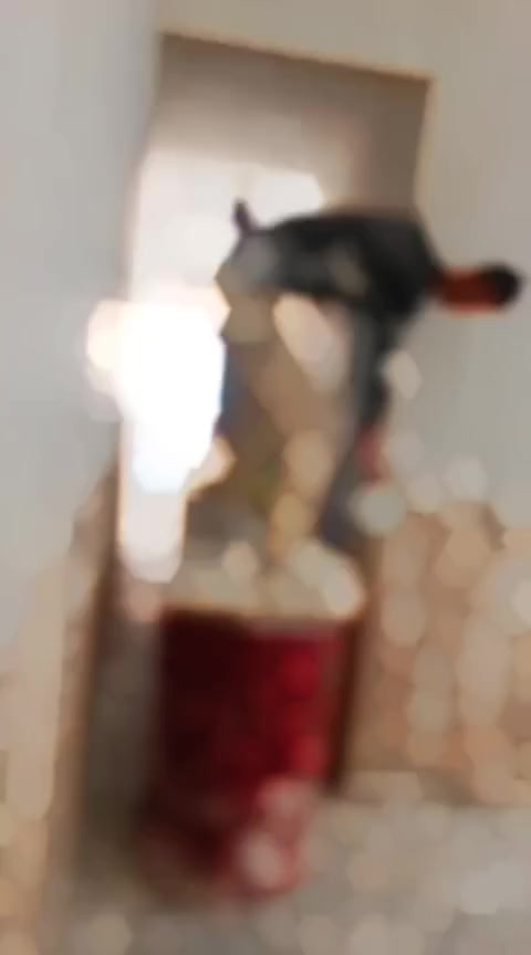 كادر جص وبورك 2خلف شغل درجه اولى تسليم مهندس نقيم بنفس الموقع
*********** واتساب او تصال
