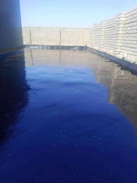 المنكوشي • سكله • البيع الكير