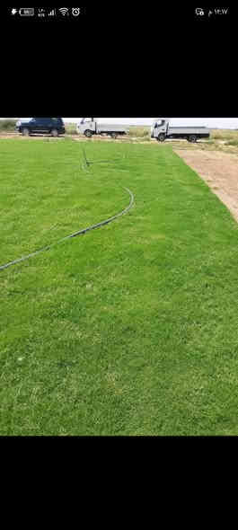 مزارع  الشمال للثيل الطبيعي 🍀
متوفر كافة انواع الثيل 🍀
( امريكي - الهندي - الايطالي - الفرنسي )
لتجهيز... مشاتل🌴
والدوائر حكوميه🏦
منازل🏡 
منتزهات🏄
موجود خدمة توصيل 🚕
لكل محافظات العراق 🚕
للطلب يرجى التواصل مع الصفحة او مراسلة واتساب او الاتصال على :
***********
