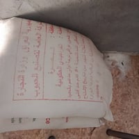 طحين • خباز • البصرة ابو الخصيب