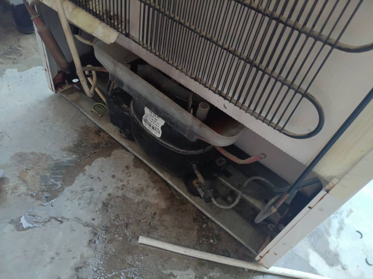 سلام عليكم طباخ نضيف وثلاجه نضيفه فريز طباخ 80وثلاجه 100الف ثلاجه بلادي شركه ***********
