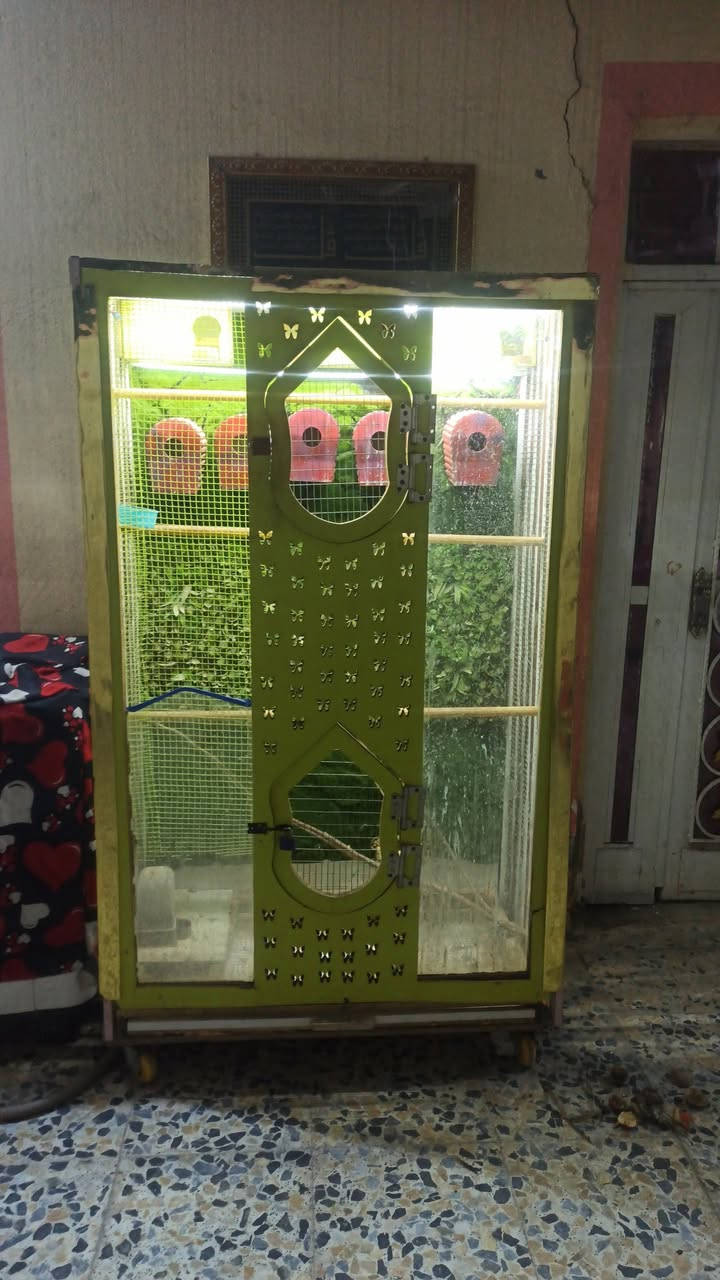 سلام عليكم محميه البيع فول كامله مكان نجف كوفه سعر 100 وبيعه مجال الطيبين رقم
‏‪0788 059 8029‬‏ 👉👉
