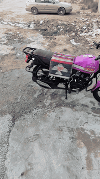 دايون • ٢٠٠ سي سي • أوراق أصولي