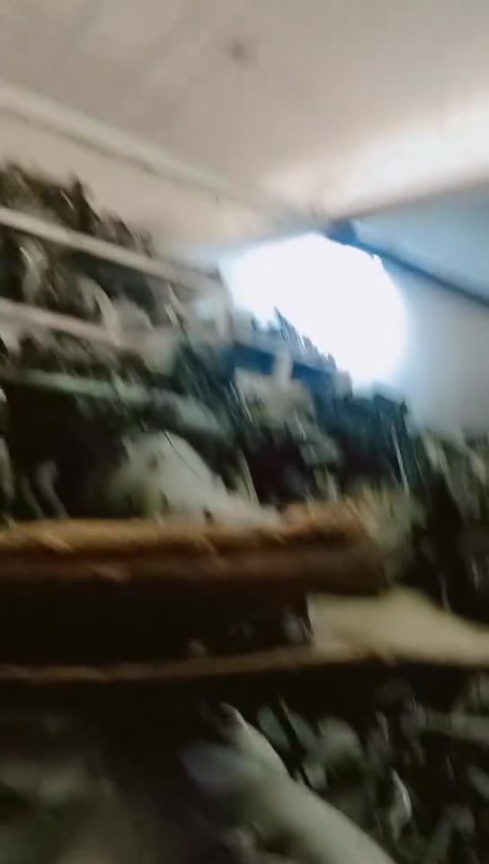 السلام عليكم يتوفر محركات جنسيز 3300
3800 مجمع عدي البديري *********** نور الطيب *********** العنوان الديوانيه حي الصناعي
