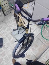 بيسكل • حجم ٢٤ • ياباني