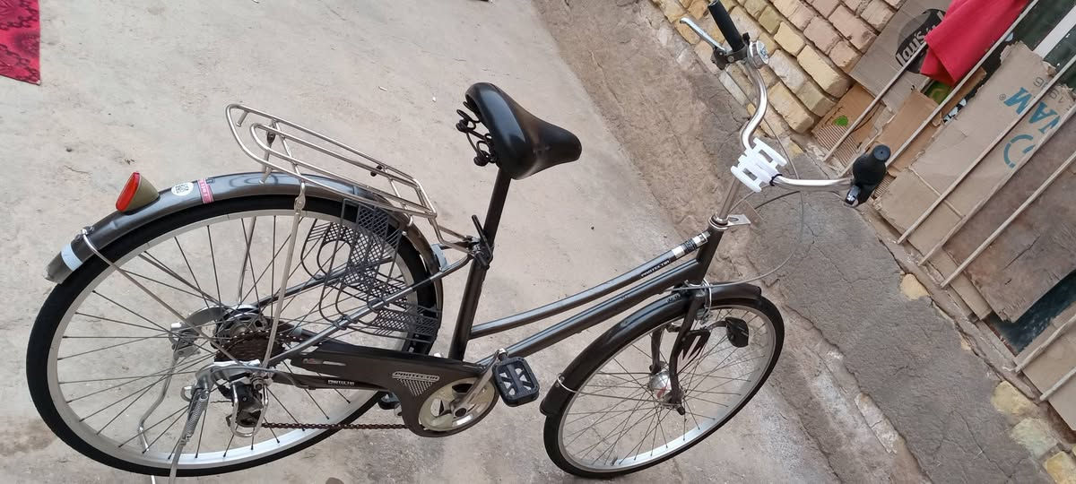 السلام عليكم باسكال للبيع بناتي نضيف باسكال لون مميز سمنتي وماناقصة شي بطيخة عكرب ٦نمر الحجم٢٦ والسعر ١١٠وبي مجال بسيط للطيبين


**إذا كنت صاحب هذا الإعلان وتريد حذفه لأي سبب، رجاءا أرسل رسالة إلى الدعم الفني**