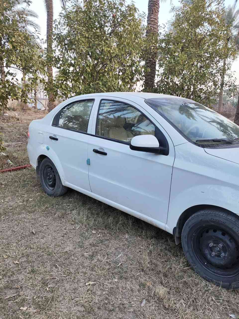 افيو موديل 2011 الشركه العامه للسيارات رقم شمالي سليمانيه الجديد رقم وسنويه وهزه جددلل30 هزته تنفذ بشهر ل6.2026 سياره مكفوله خاليه من الصبغ والتبديل حتى دعاميات بلادي ماشيه 158جاهزه من كلشي مكاني بابل الكفل السعر 82
سياره كلش حلوه وجديده وكشره صافي كدامك صور
***********
