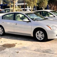 التيما • ٢٠١٠ • كالار