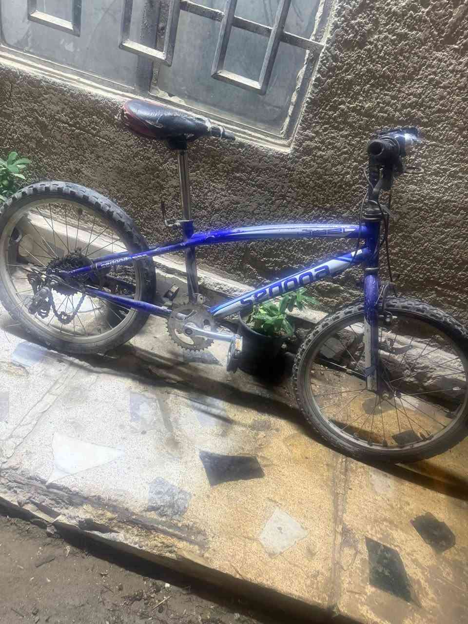 باسكل البرتقالي كلشي مابي ب25
باسكل الازرك بس زنجيل يحتاجله 35


**إذا كنت صاحب هذا الإعلان وتريد حذفه لأي سبب، رجاءا أرسل رسالة إلى الدعم الفني**