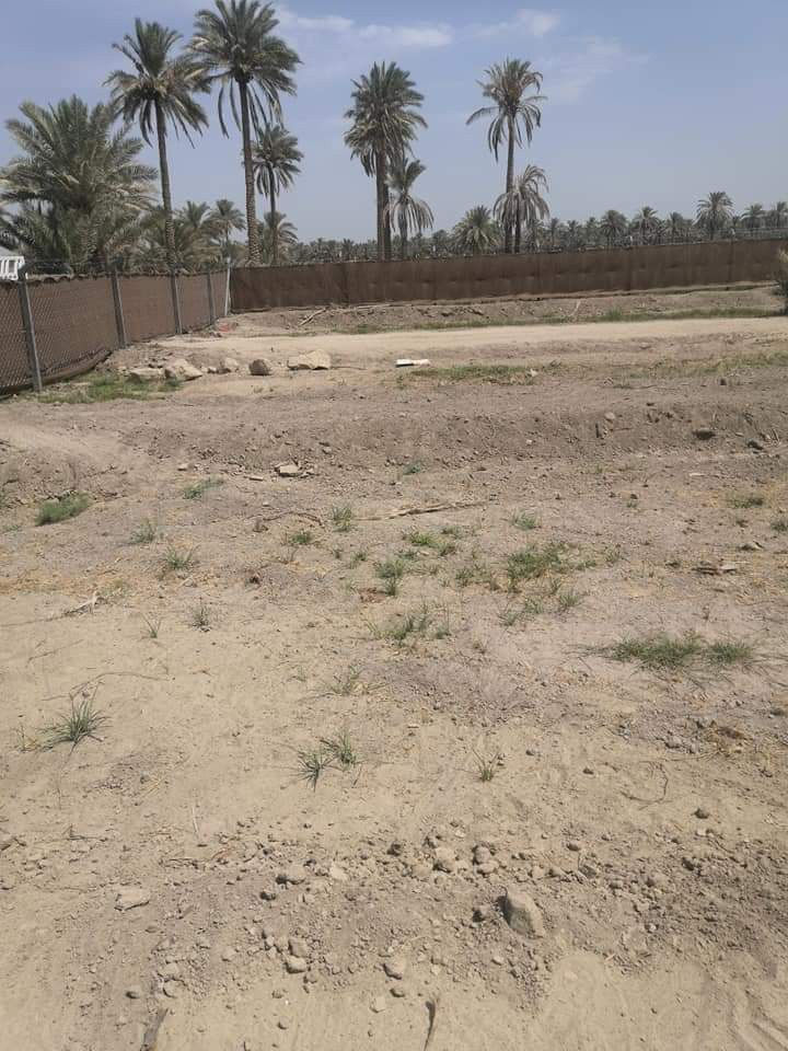 ✨🌟 إعلان متميز من شركة الفرات 🌟✨
🌆 نقدم لكم اسيجة بي ار سي BRC بكل أنواعها، تحت إشراف فريق هندسي متخصص وذو خبرة. 🔧
🌳 نتميز أيضًا في تسييج الحدائق، البساتين والأراضي الزراعية، لجعلها ملاذًا خضراء يشعّ بها الجمال. 🍃
🍀 هل ترغبون في الأسوار العشبية؟ نحن هنا لتقديم الأفضل! 🌱
🎉 بأسعار تنافسية ومغرية، نسعى دومًا لتقديم الأفضل. 💰
🚚 خدمتنا تغطي جميع محافظات العراق، فلا تترددوا في الاعتماد علينا. 
📞 للحجز أو الاستعلام، يمكنكم التواصل معنا عبر الأرقام التالية أو مراسلة الصفحة:
*********** (واتساب)
*********** (واتساب)
نتشرف بخدمتكم دومًا! 🌠
