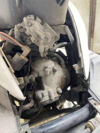 سكنس فحل • مامفتوح • زعفرانيه