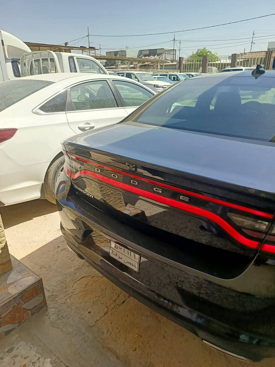 🔺دخول جديد دوج جارجر امريكي🔺
الموديل .2023🪬 اصل 

               (الاصدار الاخيرررر)

              اللون . اسود مميز 🖤

المسافة المقطوعة 25 mi فقط وظع الوكالة

حجم المحرك 3600

(كفاله السياره)

مواصفات السيارة ..

-كامرة خلفية دوارة HD

-لايتات زنون وكالة

-تشغيل عن بعد 

-كشنات حضن مع تحكم كهرباء

-حساس خلفي

- بلوجكترات زنون لد امامي 

-شاشة كبيره مع نضام GPS

-مري جانبية هيتر مع عاكس الضوء

-نضام USB- كامل 

-تبريد قطعتين

-بصمة ابواب 

( فحص باسمي اني المستورد بدون رقم تترقم جميع المحافظات)

مكان السيارة الديوانية 🫵

اي استفسار الاتصال. متوفر وتس اب 

📞‏‪‏‪***********‬‏
