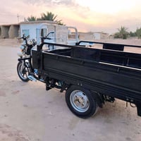 ستوته • موديل ٢٣ • اوراق اصولية