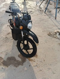 بوكسر • ٢٠٢١ • رقم إنكليزي