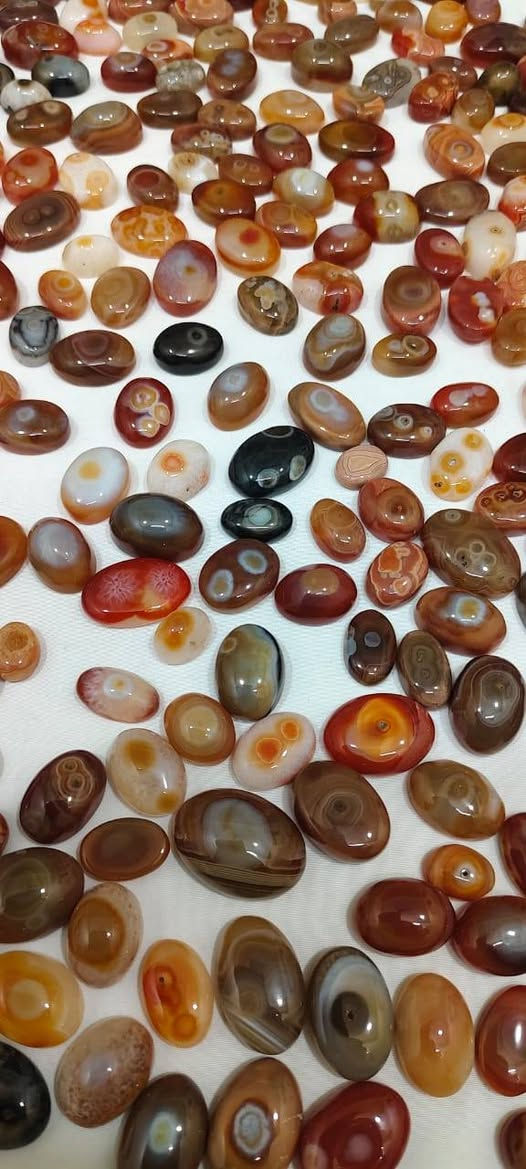 Red Sulemani


**إذا كنت صاحب هذا الإعلان وتريد حذفه لأي سبب، رجاءا أرسل رسالة إلى الدعم الفني**