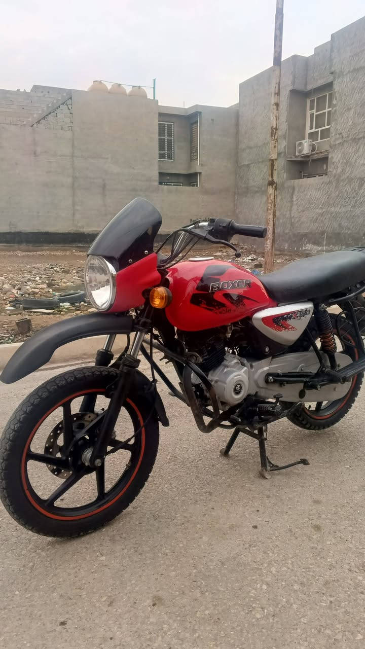 دراجه بوكسر جبلي للبيع موديل 2021
اوراق اصوليه شرط الترقيم كهربائيات كلهه شغاله السعر خاص   او الاستفسار اتصل على ***********
