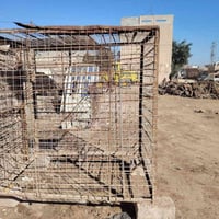 برج كامل • ٢.٥م×٢.٢٥م • ميسان