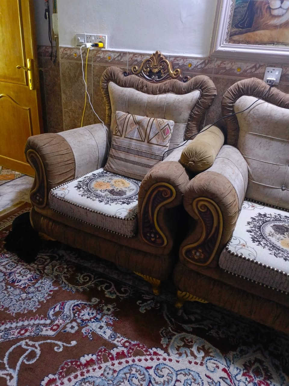 سلام عليكم تخم ١٠ مقاعد اخو الجديد البيع مكان الدوره


**إذا كنت صاحب هذا الإعلان وتريد حذفه لأي سبب، رجاءا أرسل رسالة إلى الدعم الفني**