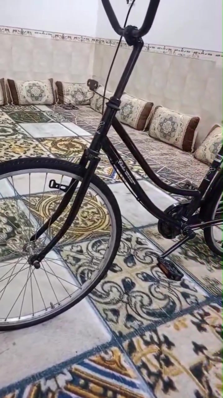 باسكل موزه اسود موديل 22 حاويه غراضه كلهن ويا السعر 130 وبي مجال


**إذا كنت صاحب هذا الإعلان وتريد حذفه لأي سبب، رجاءا أرسل رسالة إلى الدعم الفني**