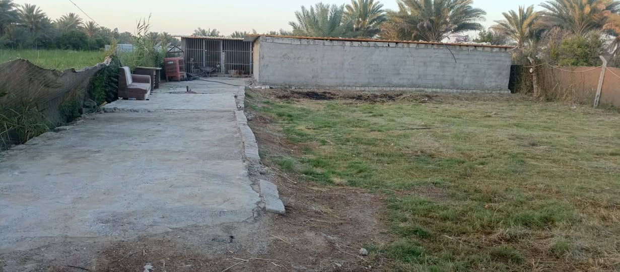 550 متر ركن طابو  زراعي سند 25 تتوفر فيها جميع الخدمات ماء اساله وماء سقي وكهرباء ومسيج بالكامل والتبليط يبعد عنها تقريبا 500 متر والتعامل مع صاحب الأرض مباشر العنوان بغداد الراشديه نهاية منطقه العاصفه السعر 43مليون  وقابله للتفاوض للاستفسار مكتب العبيدي للعقار ***********
