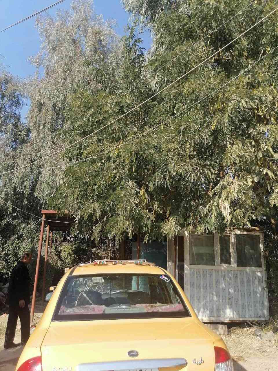 السلام عليكم طيبه 2015 للبيع رقم بغداد بسمي السياره جاهزه مكينه كير حداديه تبريد عوزه راديتر  المكان نجف مشخاب مكفوله من الضربه والتبديل بيه خياسات السعر 30 قفل الرقم ***********
