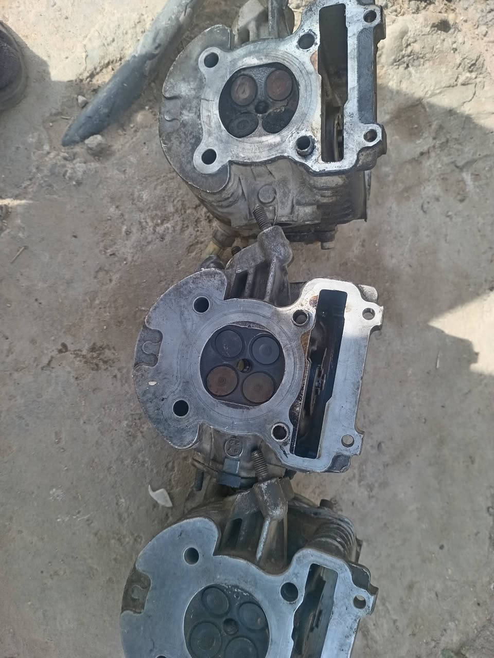 كورات سكنز للبيع لواحدب40الف ***********
