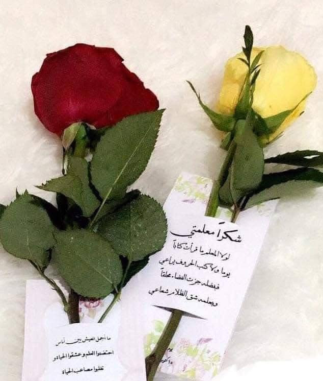 هدايا عيد المعلم حسب لطلب


**إذا كنت صاحب هذا الإعلان وتريد حذفه لأي سبب، رجاءا أرسل رسالة إلى الدعم الفني**