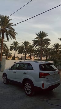 سورنتو • ٢٠١٥ • ٧ راكب